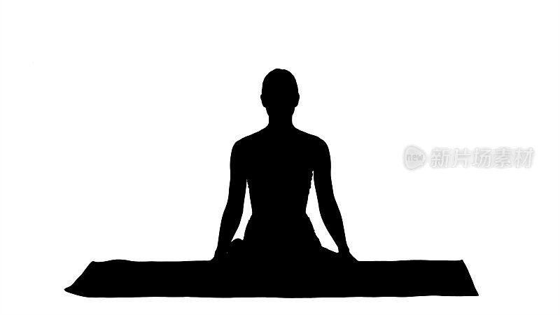 Silhouette Sporty attractive woman practicing yoga, sitting in L